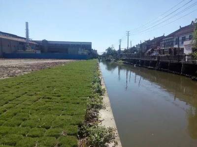 永清环保负责的国家级土壤污染修复治理示范试点项目完成竣工验收